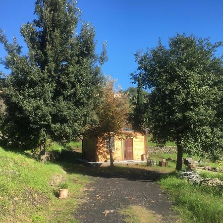 Alberto'S Mt.Etna B&B Zafferana Etnea Exterior foto