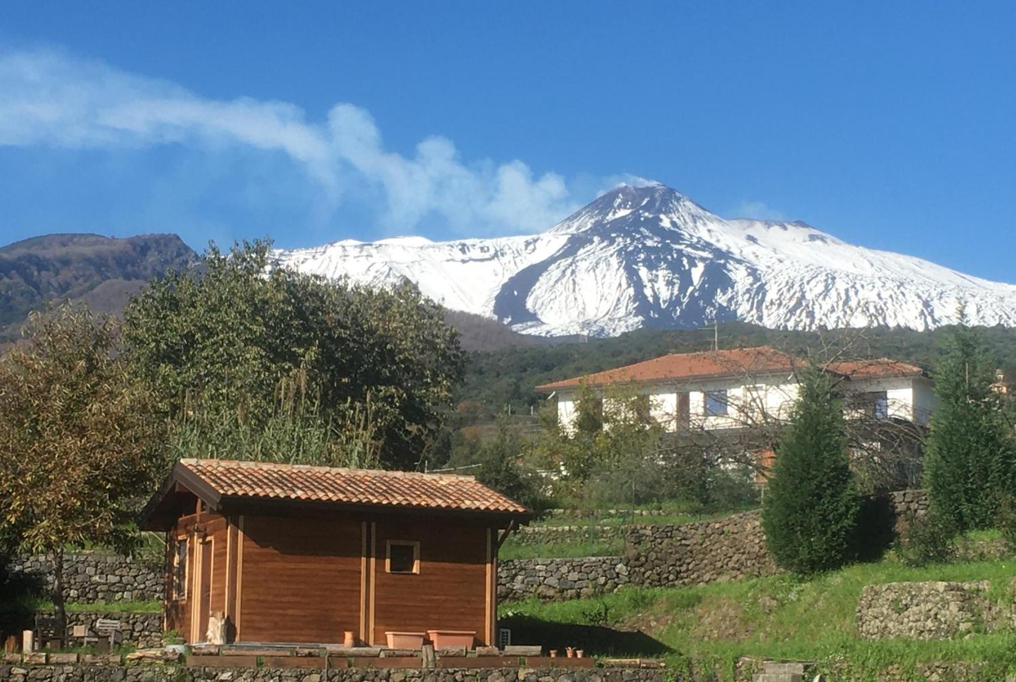 Alberto'S Mt.Etna B&B Zafferana Etnea Habitación foto