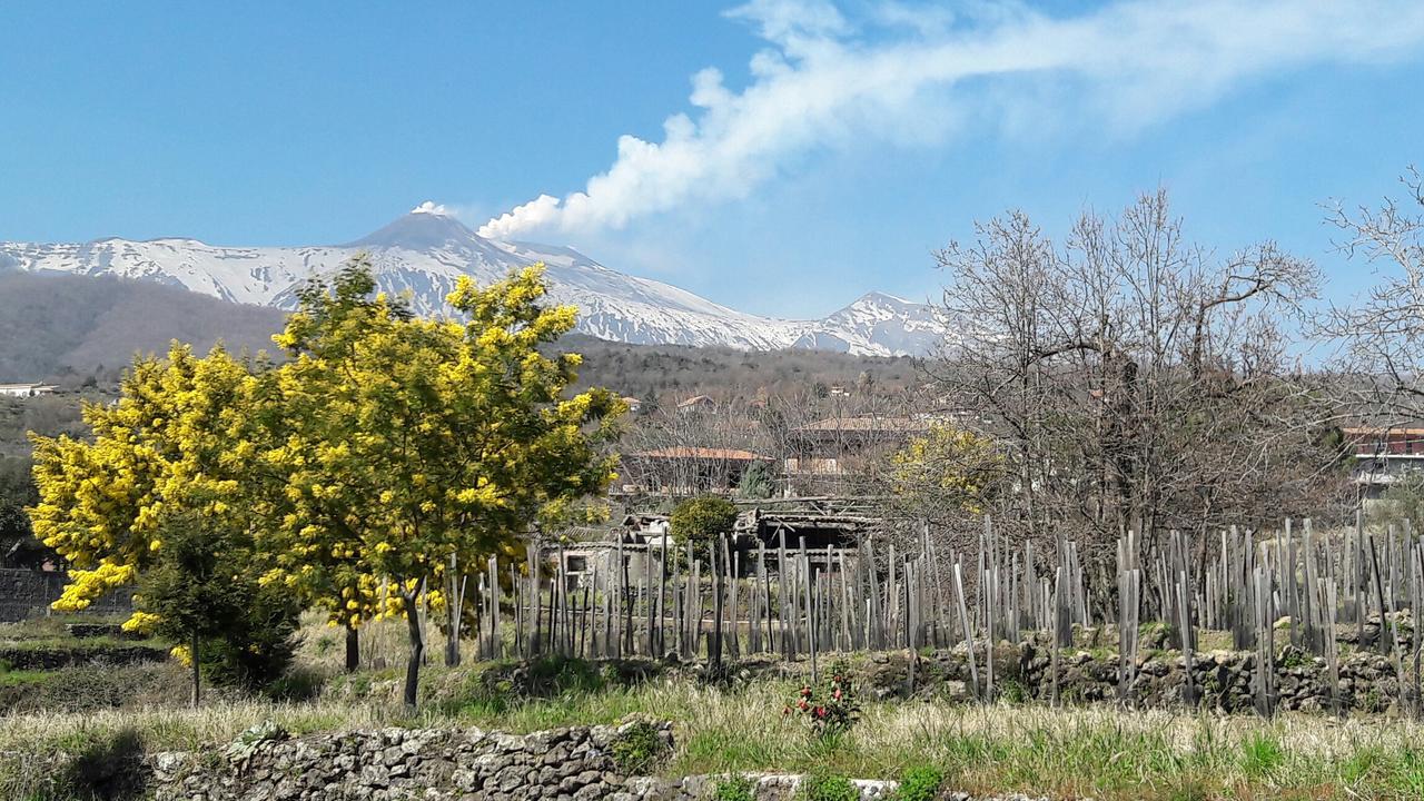 Alberto'S Mt.Etna B&B Zafferana Etnea Exterior foto